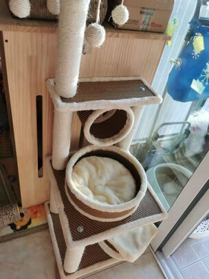 猫爬架