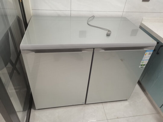 冰箱|尊贵BCD-219W冰箱怎么样？内幕使用评测揭秘