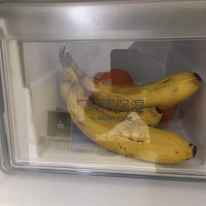 海尔电冰箱选择五大雷区要慎重