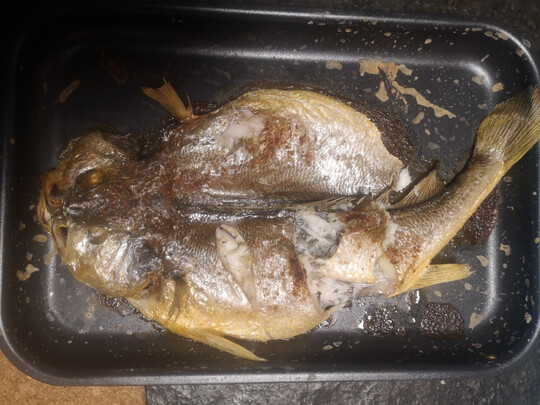 百年品牌GRAM|参考剖析百年品牌GRAM 蒸烤箱一体机怎么样?深度测评剖析