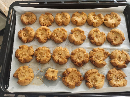 真相揭秘杜邦32L蒸烤一体机怎么样?优劣分析