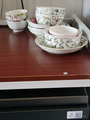 曝实情:布谷DC01洗碗机怎么样?使用爆料如何??