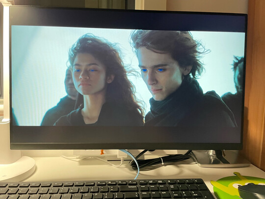 戴尔P2422H评判质量差有依据吗？