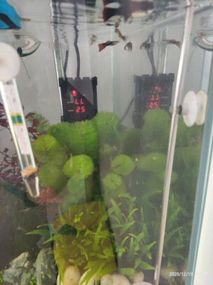 鱼缸加热棒