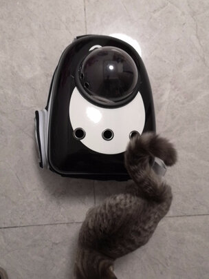 猫包