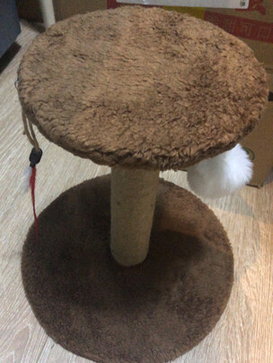 猫爬架