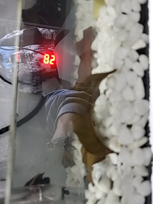 鱼缸造景石头