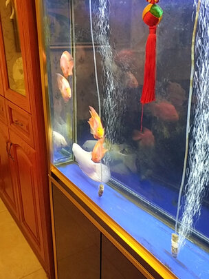 三,迪普尔鱼缸杀菌灯鱼缸uv杀菌灯紫外线网友对比评测