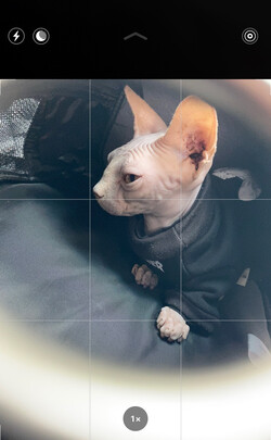 猫砂盆