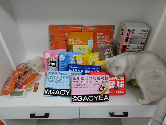 猫粮罐头
