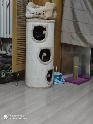 猫爬架