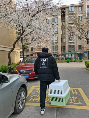 宠物航空箱