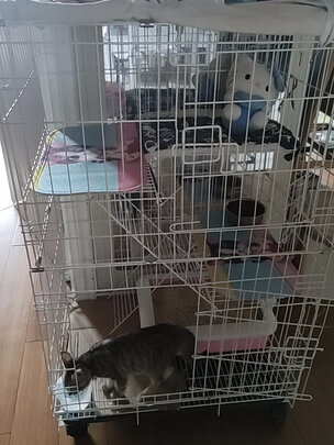  猫笼