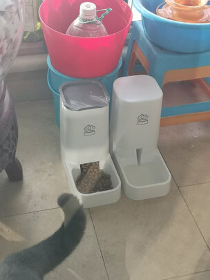 宠物自动喂食器