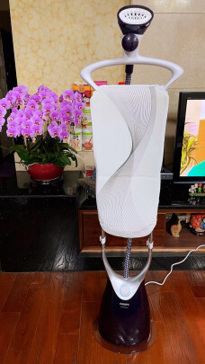 %title插图%num 飞利浦(PHILIPS)蒸汽挂烫机熨烫机 双杆带板灵动烫头 5档蒸汽 GC556/38