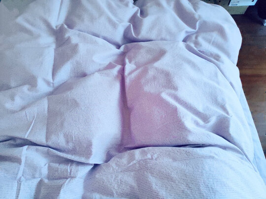 京东京造90%知芯白鸭绒被极度喜欢感受反馈