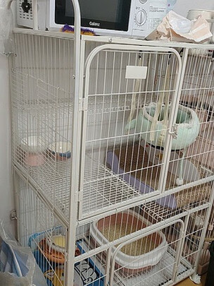 猫笼