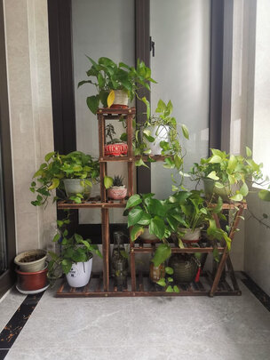 花架