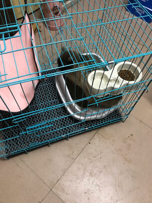 猫笼