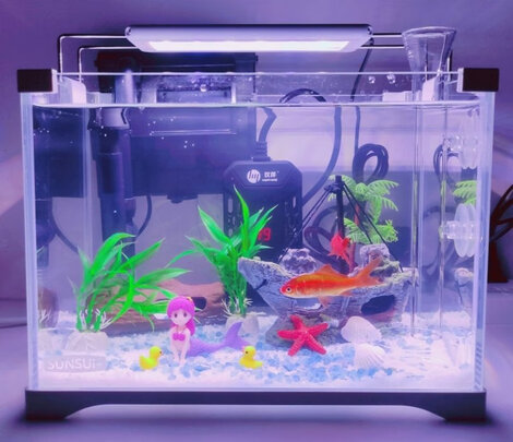 鱼缸灯led灯