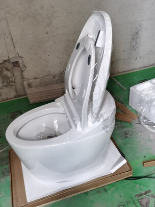 智能马桶|客观评价飞利浦AIB6308/93智能马桶怎么样？上手三周说真相
