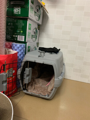 宠物航空箱