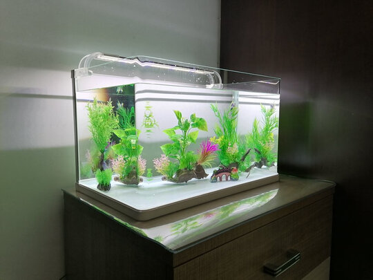 鱼缸水草灯