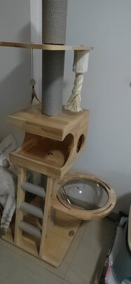 猫爬架