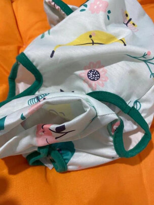 猫咪手术服