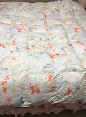 富安娜欢乐颂抗菌白鹅绒冬厚被评判质量差有依据吗？