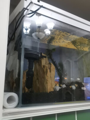 桌面鱼缸
