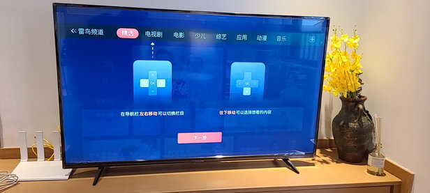 FFALCON50S315C电视|FFALCON50S315C电视到底怎么样，参数如何！