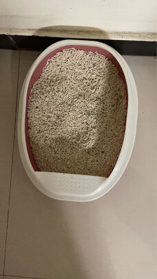 膨润土猫砂