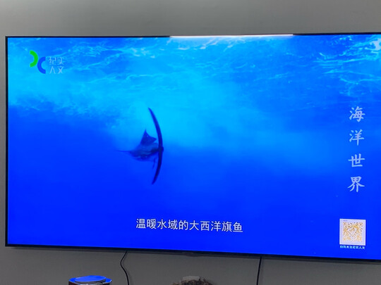 三星65寸电视哪款好用？哪款画质好性价比高？
