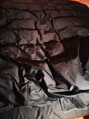 梦洁家纺甄暖95%白鹅绒厚被是哪里生产的，值吗