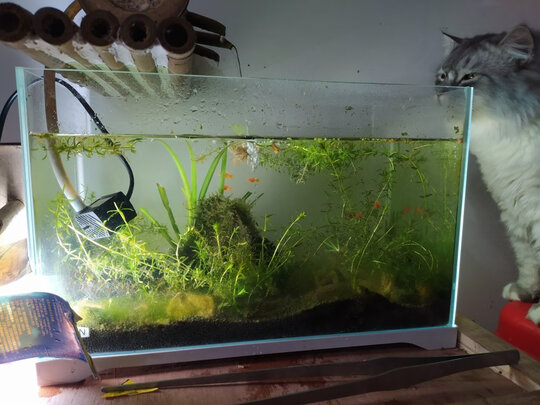 鱼缸过滤器
