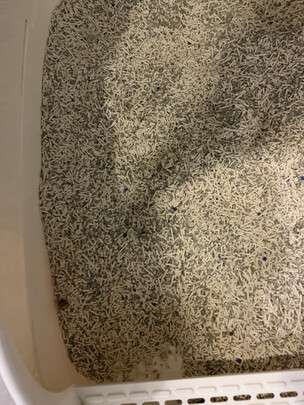 膨润土猫砂