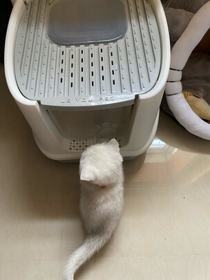 猫砂盆