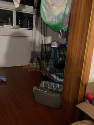  猫笼