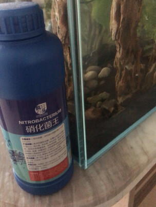 鱼缸硝化细菌