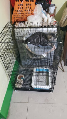  猫笼