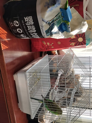 鸟粮