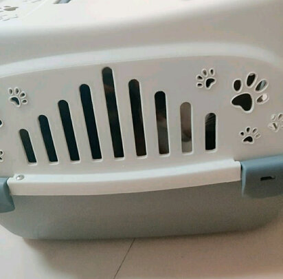 猫包