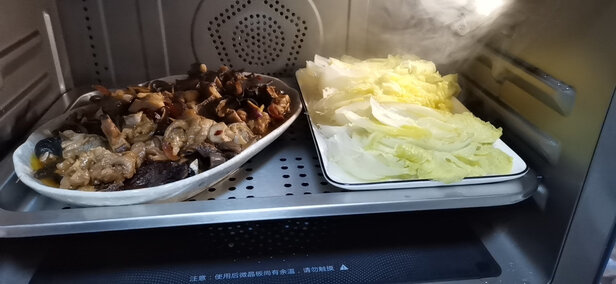 凯度蒸烤箱一言识破，你需不需要它