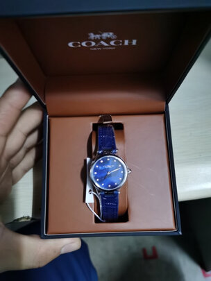 手表|蔻驰14503534手表怎么样？亲身体验告知你实情！