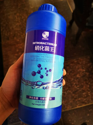 鱼缸硝化细菌