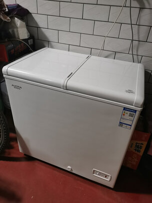 冰柜|澳柯瑪BC/BD-216NE冰柜怎么樣評測分析結果告知！