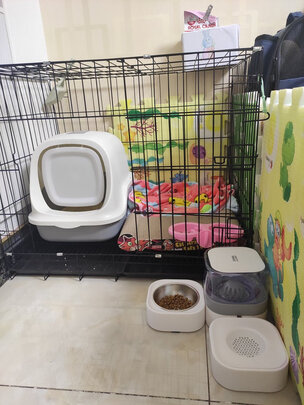  猫笼