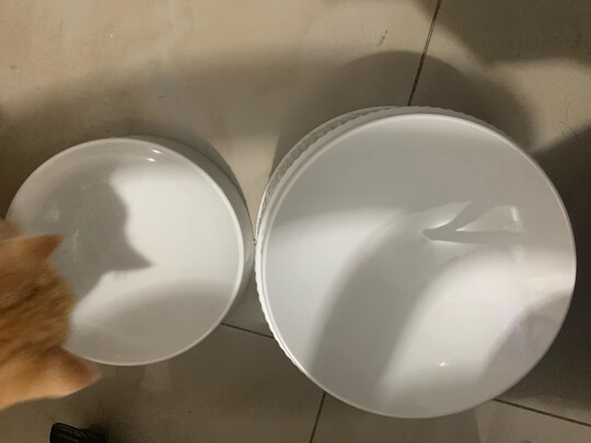 猫碗狗碗