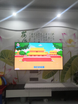 求助专家:海信55E75F怎么样到底垃不垃圾?